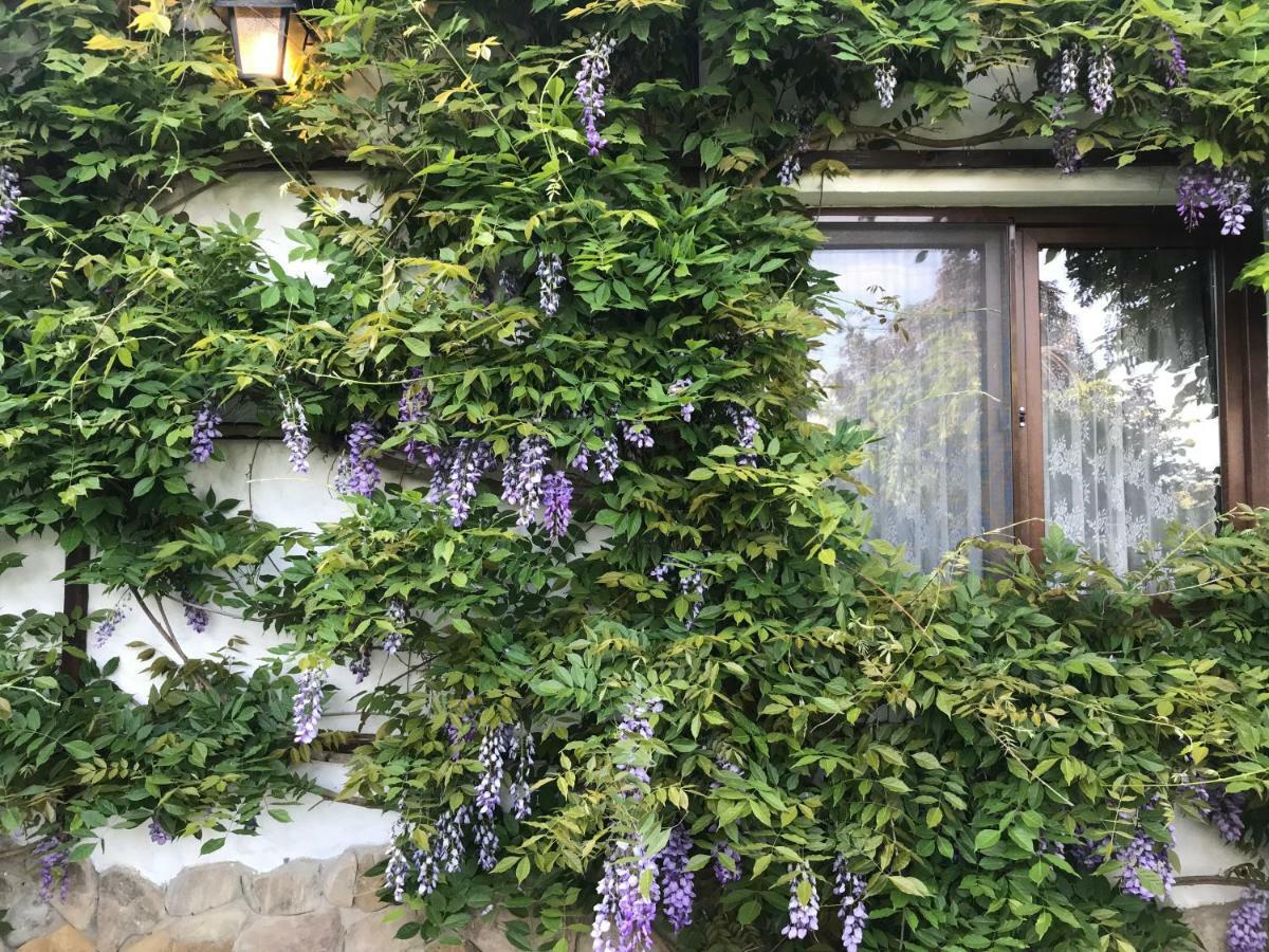 Casa Cu Suflet Hotel Sighisoara Exterior photo